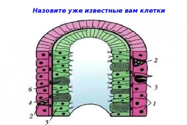 Гашиш телеграмм канал