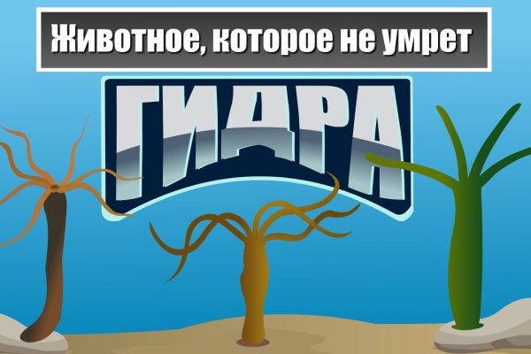 Магазин даркнет kraken krakn cc