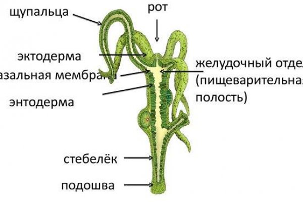 Мега сайт в тор браузере