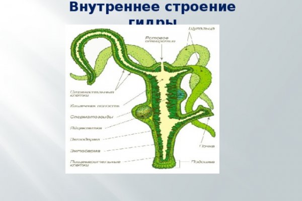 Зеркала крамп онион kraken6.at kraken7.at kraken8.at