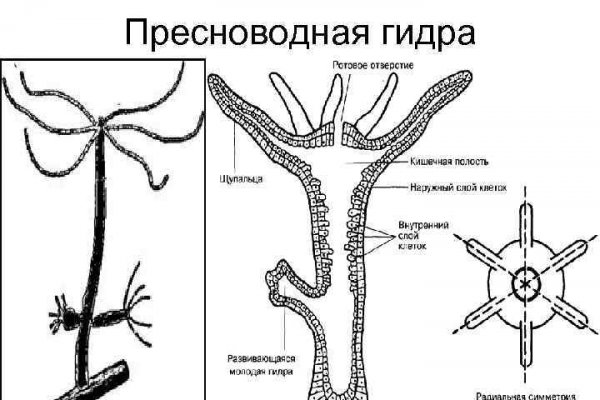 Зеркало крамп kraken