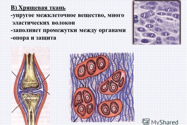 Как попасть на настоящий сайт меги